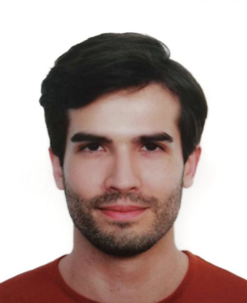 <font size="3">Mr. Rui Manuel Esteves da Silva </font size="3">