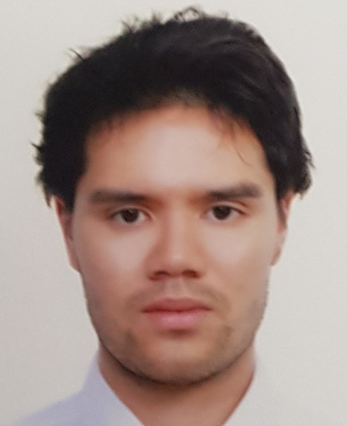 <font size="3">Mr. De Noronha Vital Ivo</font size="3">